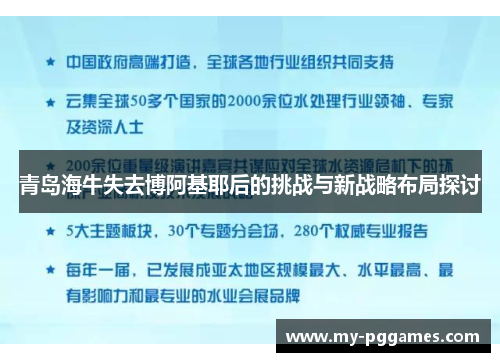 青岛海牛失去博阿基耶后的挑战与新战略布局探讨