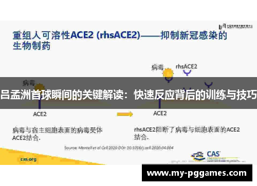 吕孟洲首球瞬间的关键解读：快速反应背后的训练与技巧