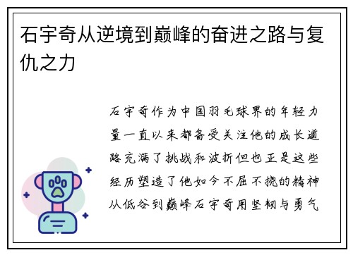 石宇奇从逆境到巅峰的奋进之路与复仇之力