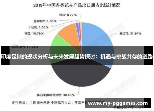 印度足球的现状分析与未来发展趋势探讨：机遇与挑战并存的道路