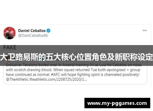 大卫路易斯的五大核心位置角色及新职称设定