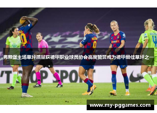 弗赖堡主场草坪质量获德甲职业球员协会高度赞誉成为德甲最佳草坪之一 弗赖堡主场草坪质量获德甲职业球员协会高度赞誉成为德甲最佳草坪之一